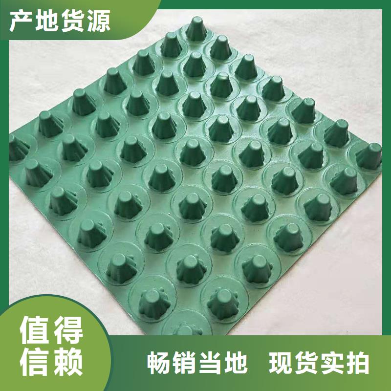 【排水板,塑料排水板细节决定成败】厂家销售