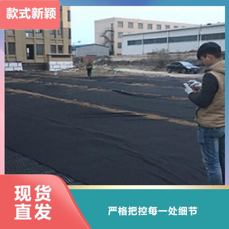 排水板塑料排水板实体厂家支持定制满足客户所需