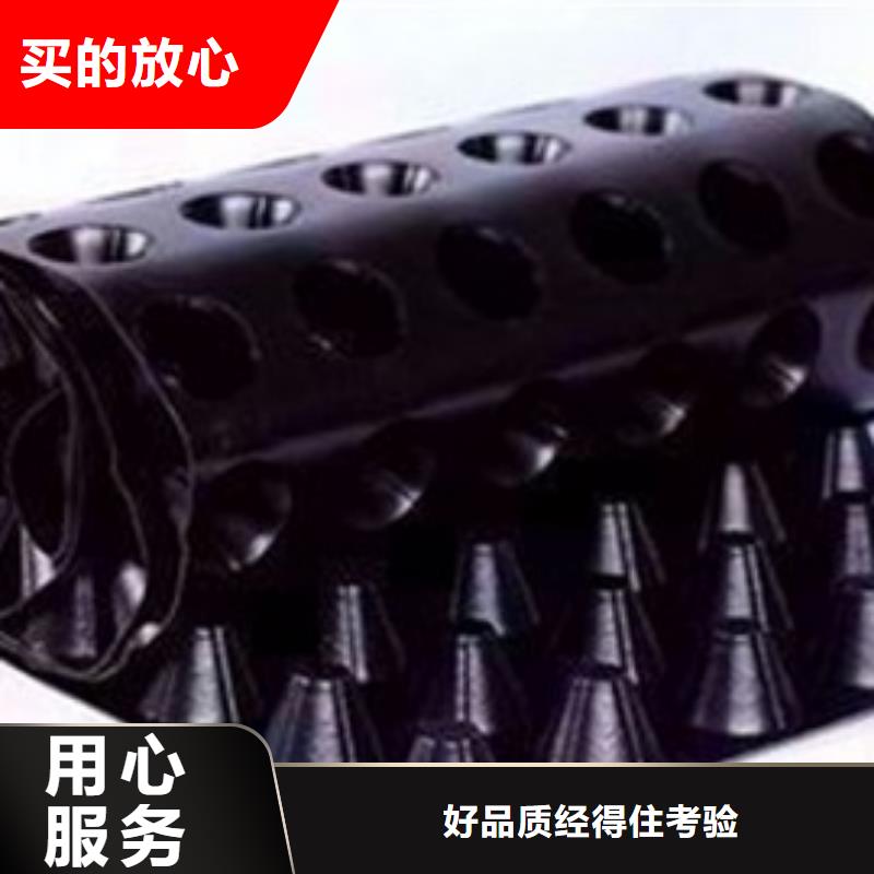 排水板土工布经验丰富质量放心物流配送