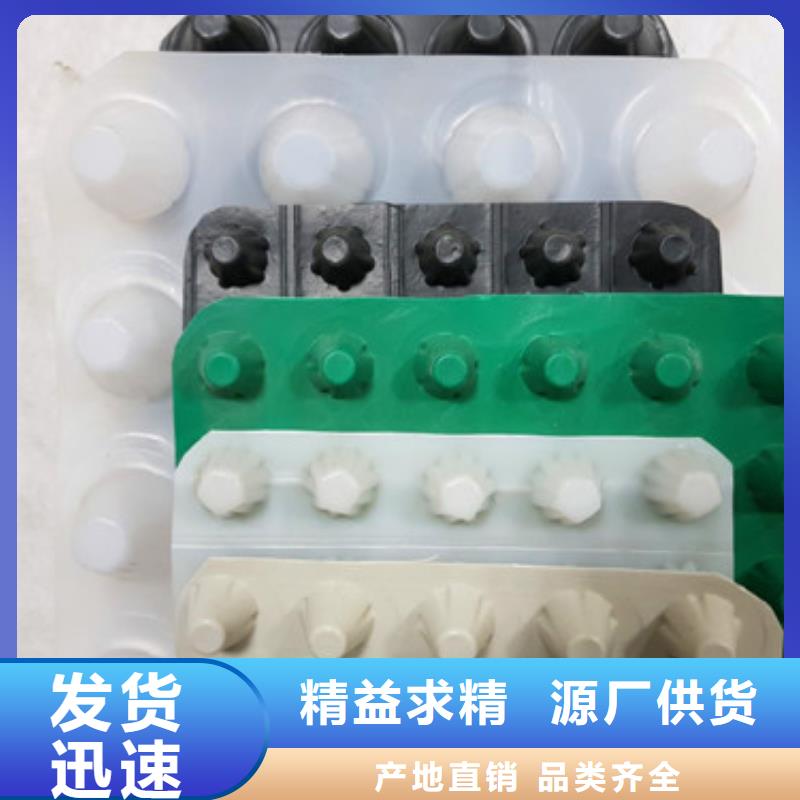 排水板,塑料排水板客户信赖的厂家敢与同行比质量