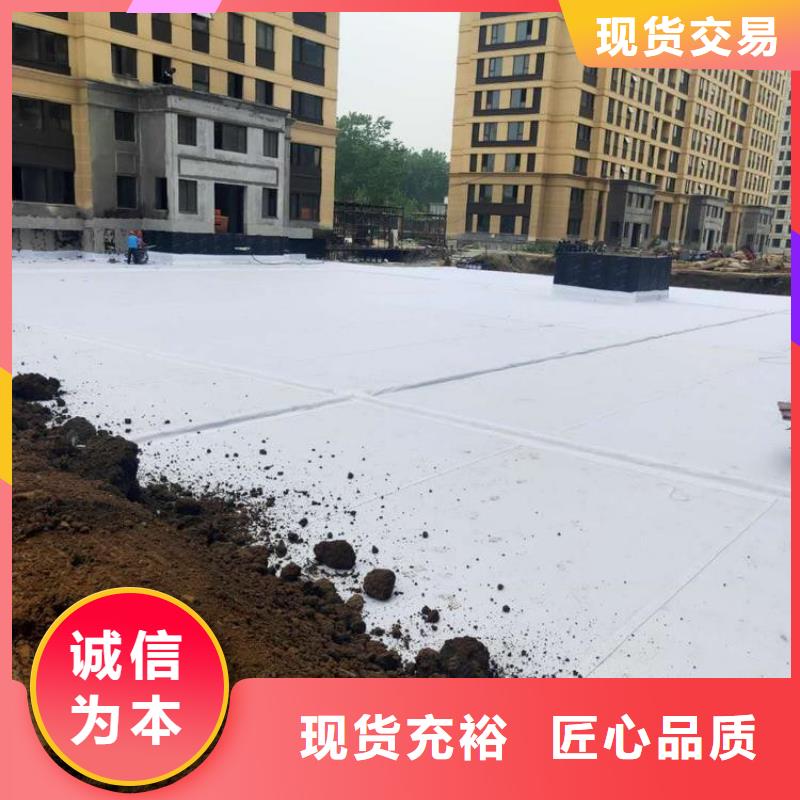 排水板车库排水板买的放心<本地>生产厂家