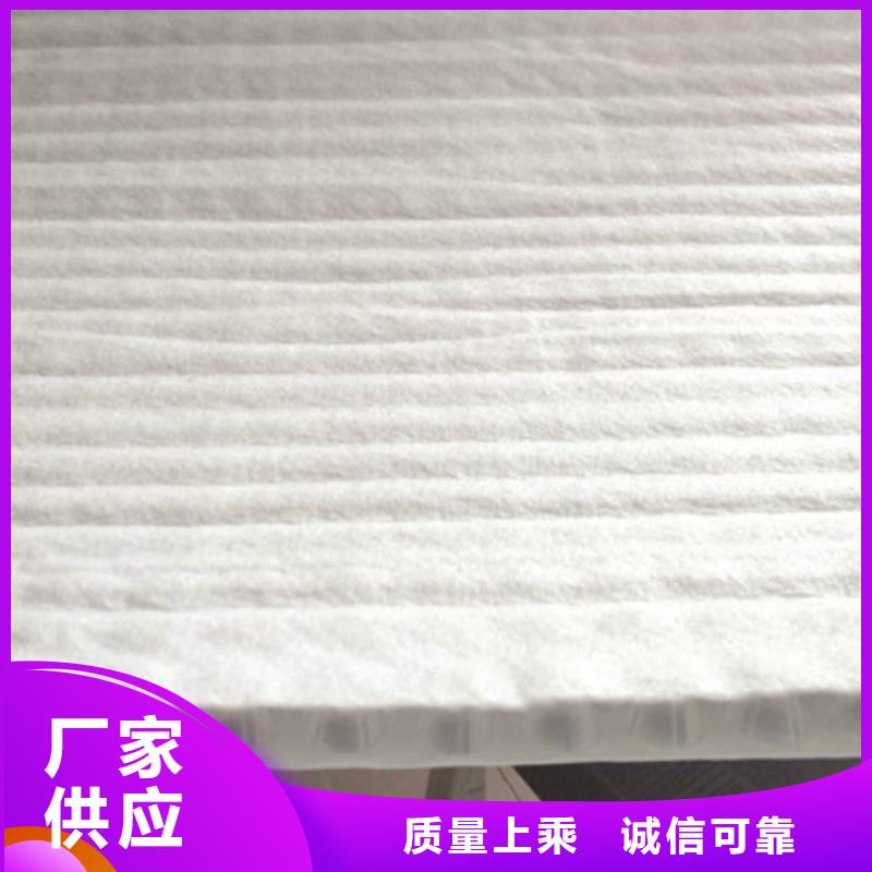 排水板_滤水板好厂家有担当库存丰富