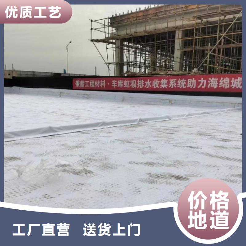 排水板塑料盲沟管产地厂家直销本地服务商