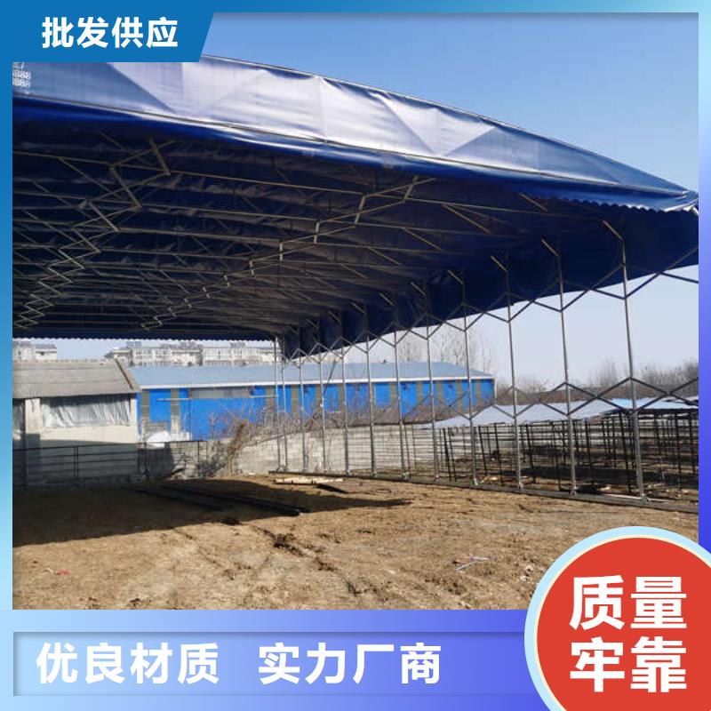 【雨棚】停车棚实力厂家直销优选好材铸造好品质