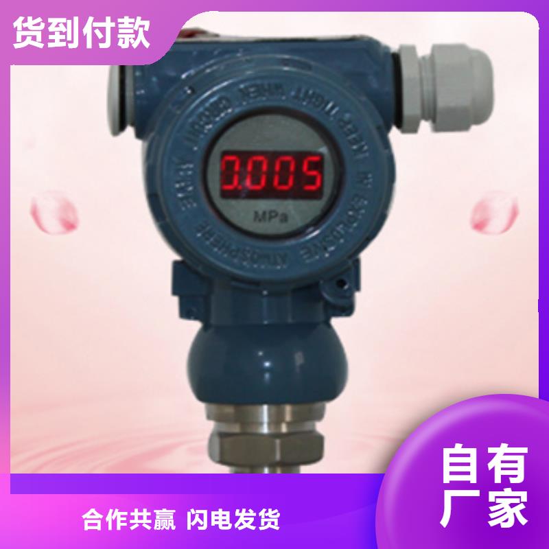 保质保量：WP-201IC20-A实力派厂家