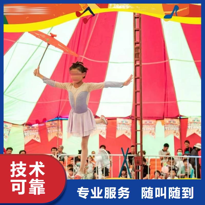 马戏团/羊驼【小香猪宠物出租】价格美丽诚信经营