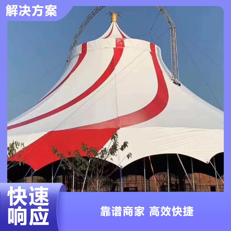马戏团/羊驼,【海狮表演】快捷本地生产商