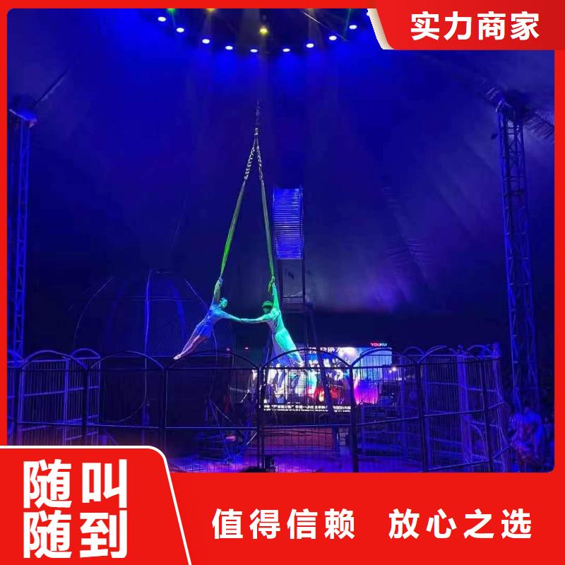 马戏团/羊驼出租表演企鹅行业口碑好本地生产商