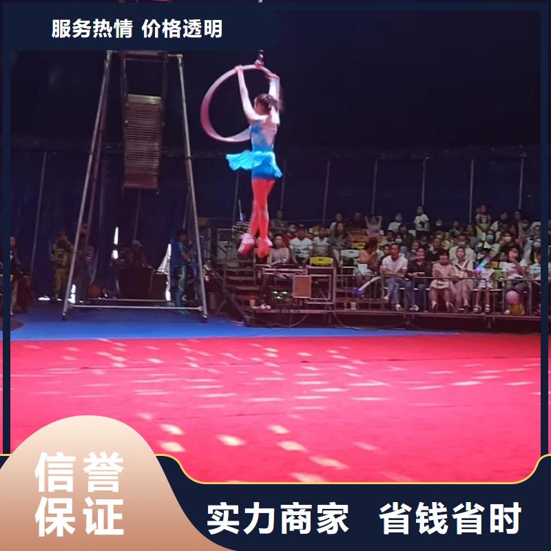 马戏团/羊驼_海狮表演出租服务周到资质齐全