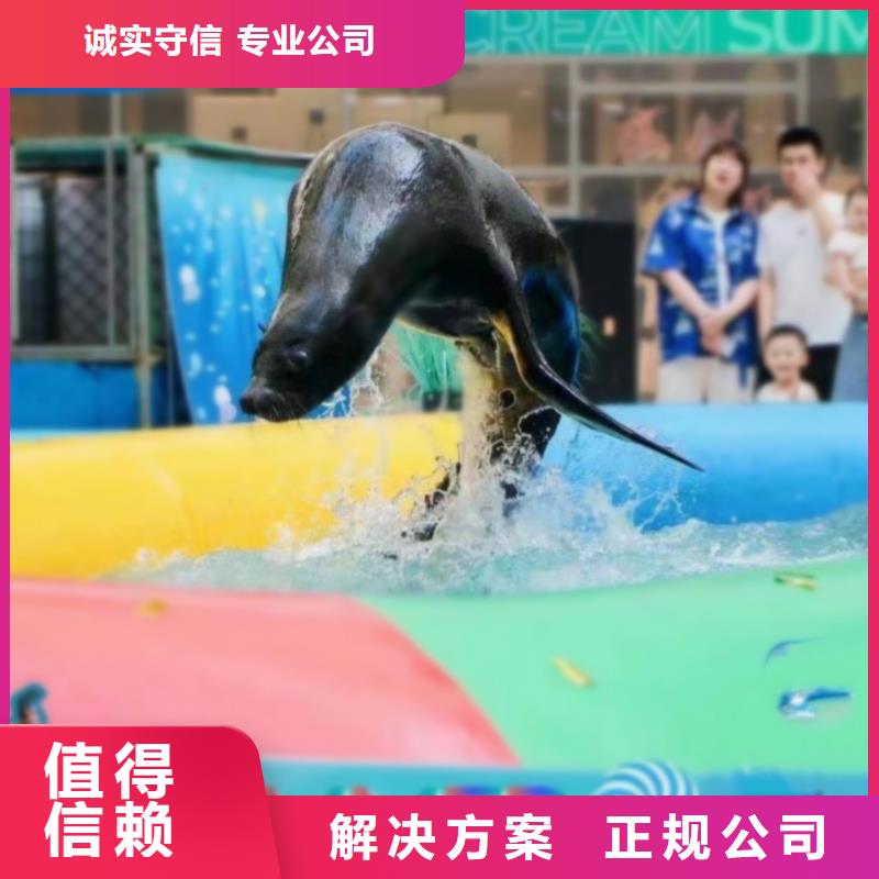 【海洋主题动物表演房地产开盘庆典一站搞定】{当地}经销商