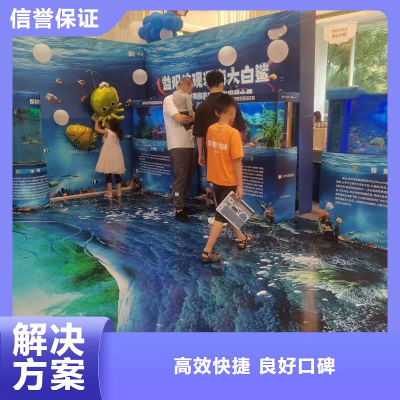 海洋主题动物表演羊驼出租专业团队同城制造商