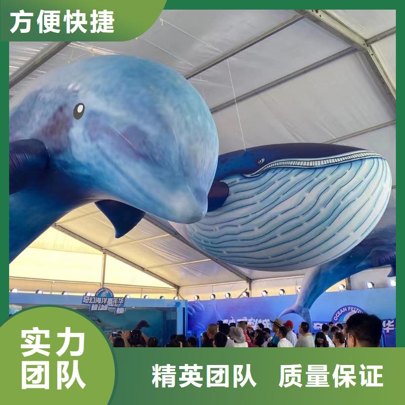 海洋主题动物表演企鹅出租表演正规团队【本地】货源
