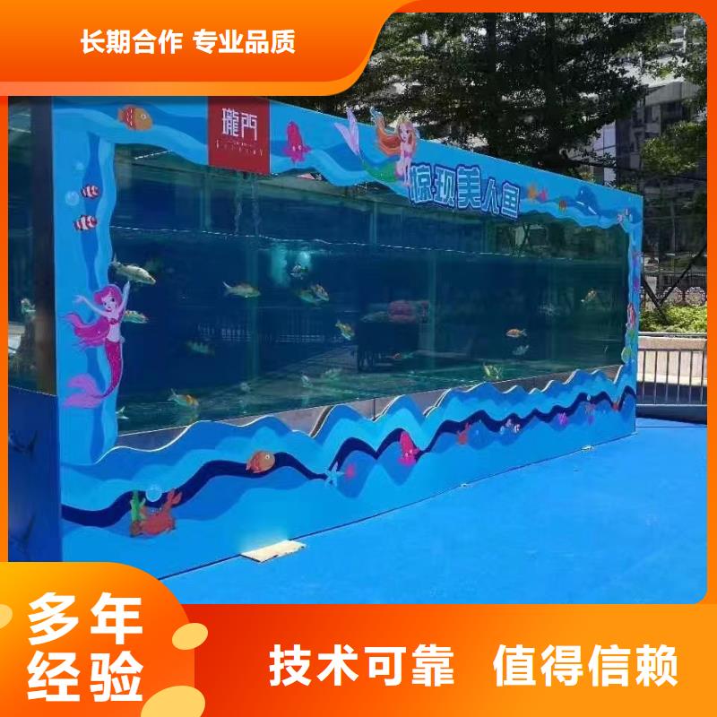 海洋主题动物表演-【海豚表演】良好口碑讲究信誉