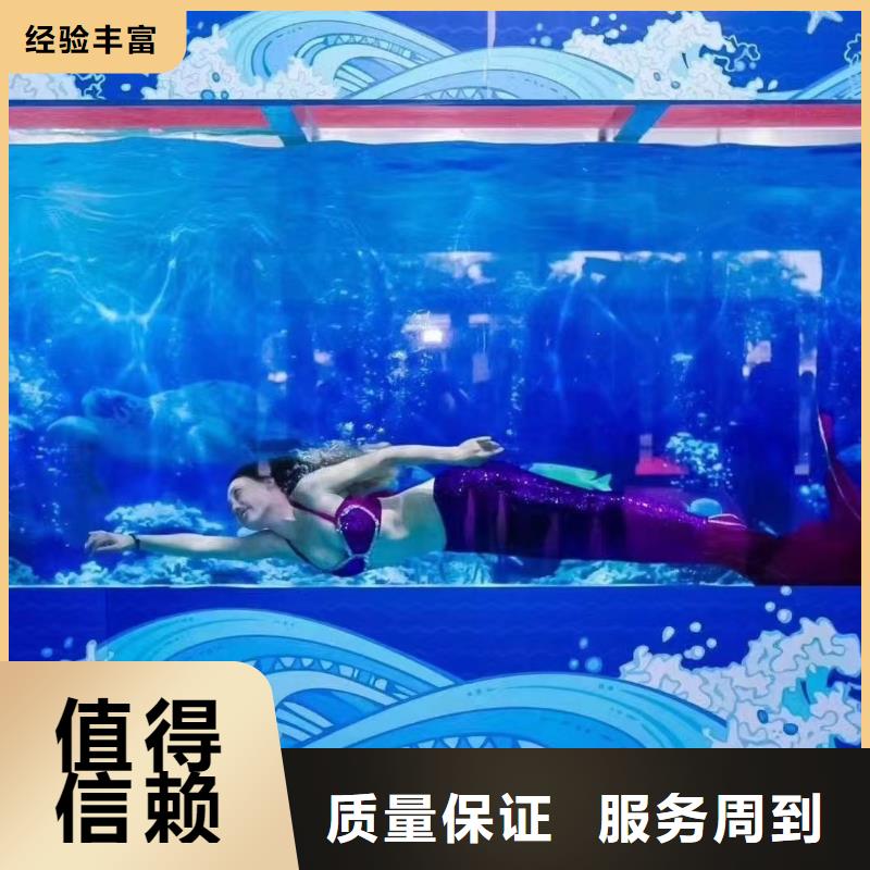 海洋主题动物表演【企鹅表演】品质保证<当地>服务商