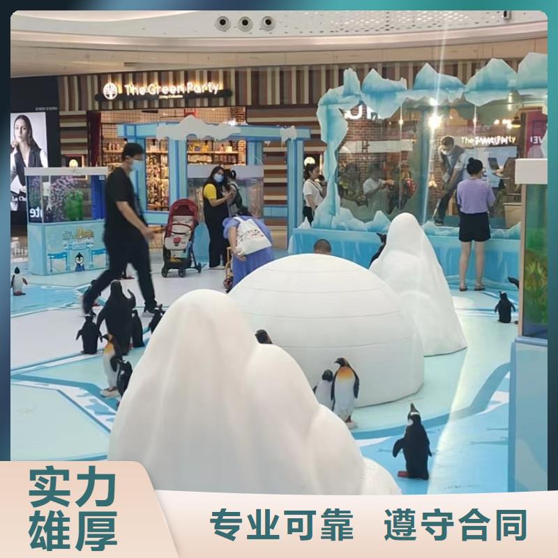 海洋主题动物表演,鹦鹉表演多年经验承接