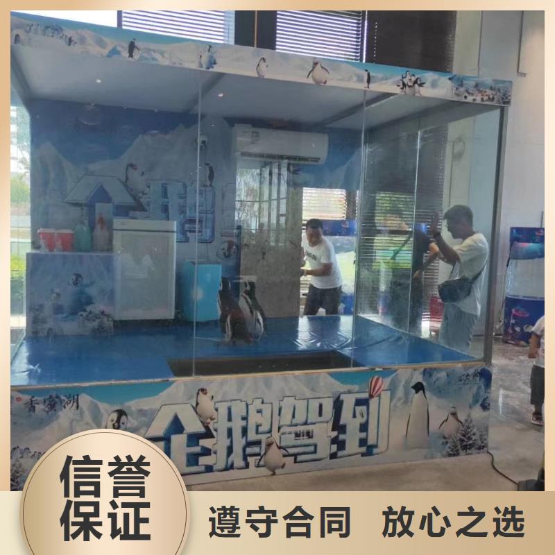 【海洋主题动物表演出租马戏团表演一站式服务】2024专业的团队