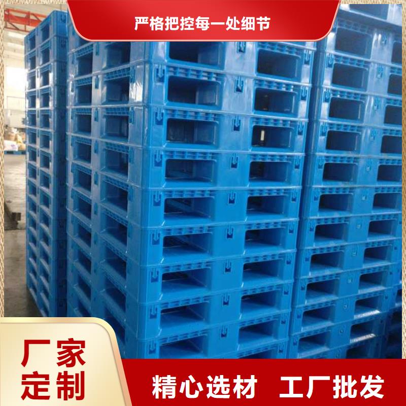 塑料托盘仓库货架叉车栈板行业优选同城经销商