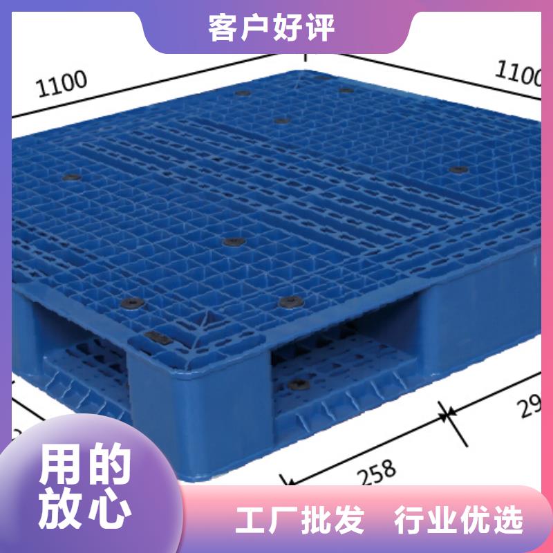 塑料托盘-仓库栈板颜色尺寸款式定制当地公司