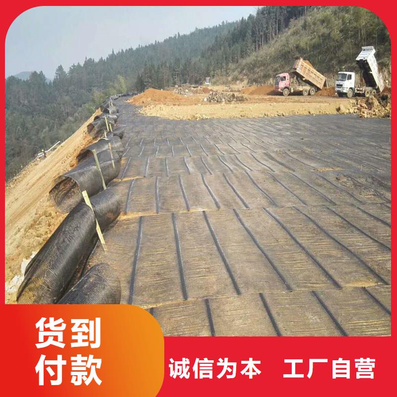 土工格栅\抗裂贴塑料盲沟专注生产制造多年产地直供
