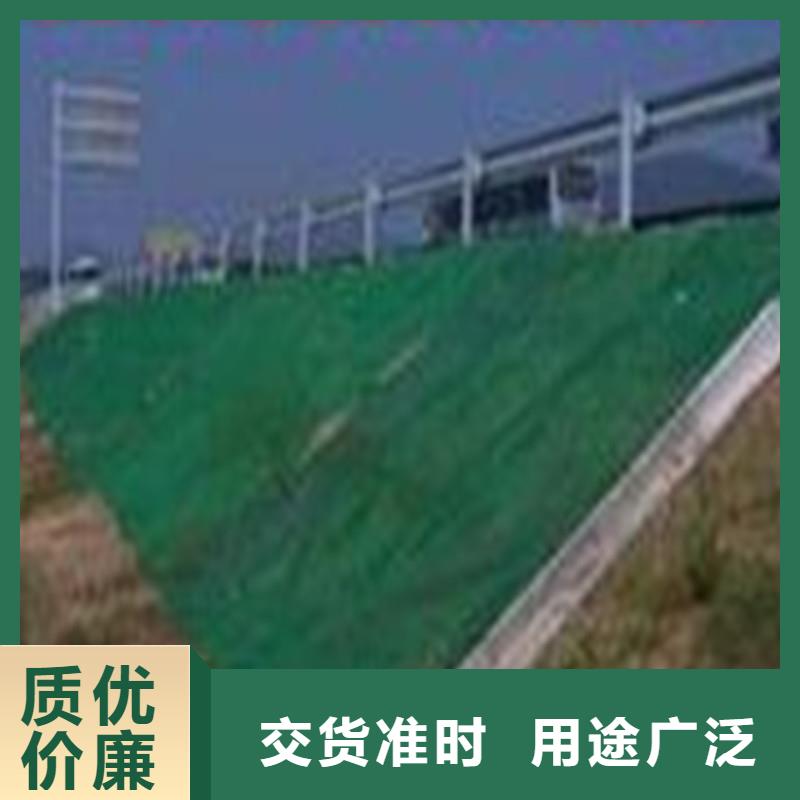土工布,【三维植被网】支持非标定制品质做服务