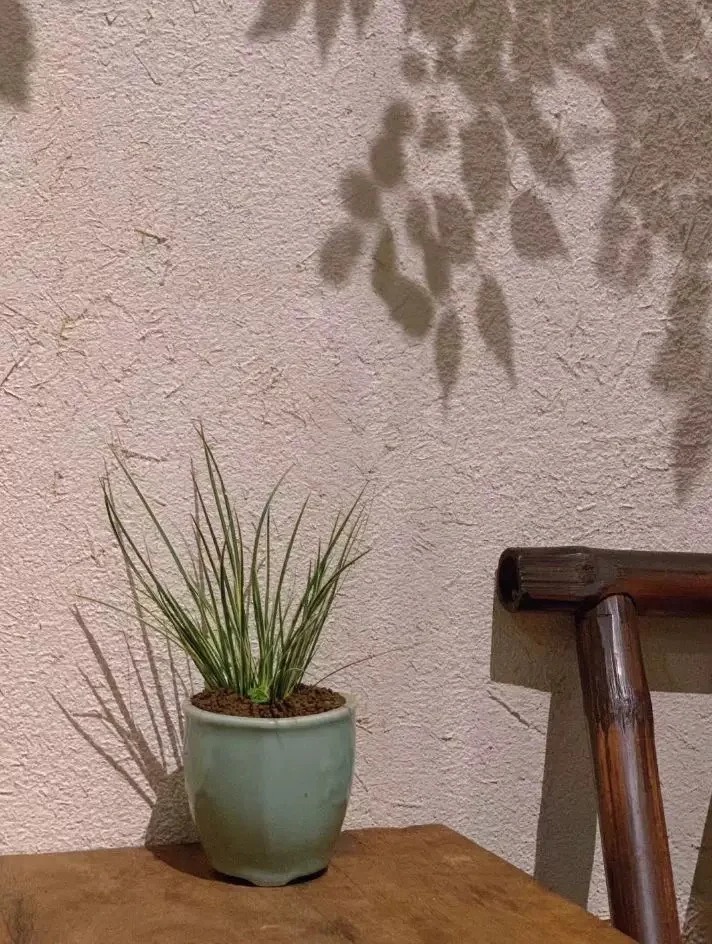 ​夯土艺术漆厂家#稻壳漆#仿泥巴稻草漆#美丽乡村建设质量优价格低