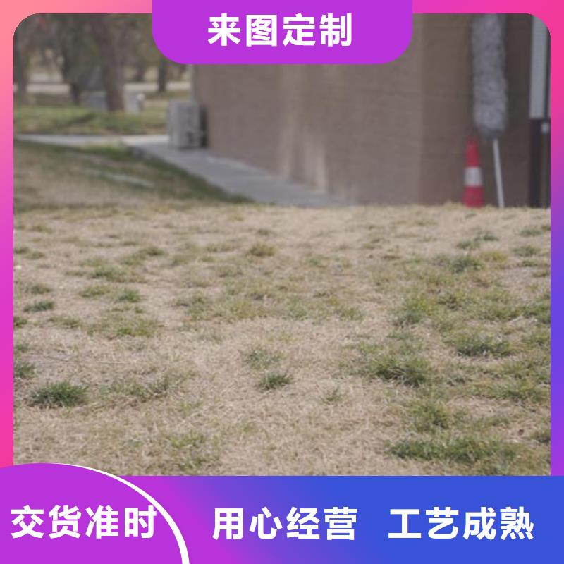 仿夯土稻草漆多少钱一公斤买的放心多种规格供您选择