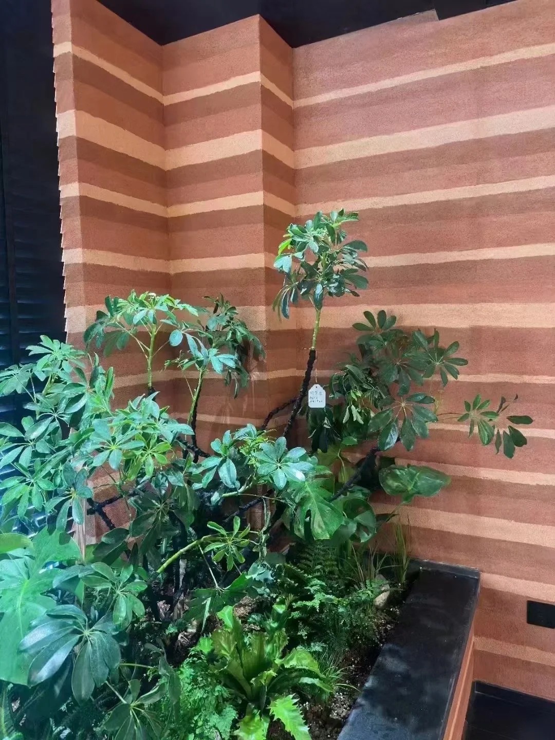 仿夯土稻草漆施工厂家质优价廉一手价格