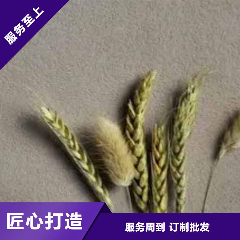 雅晶石,木纹漆多年实力厂家海量货源