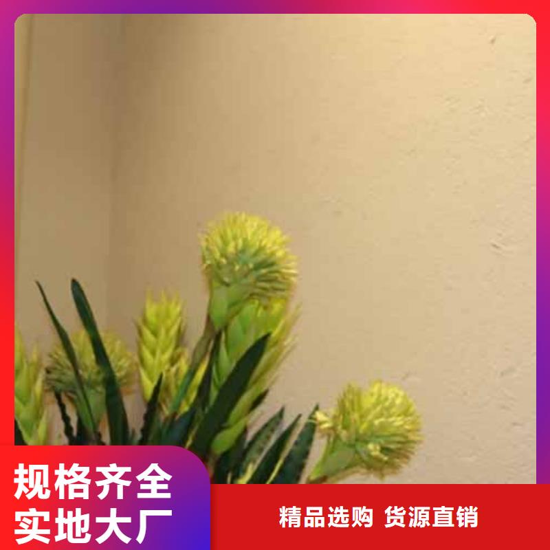 雅晶石-【内墙夯土漆】精品选购畅销本地