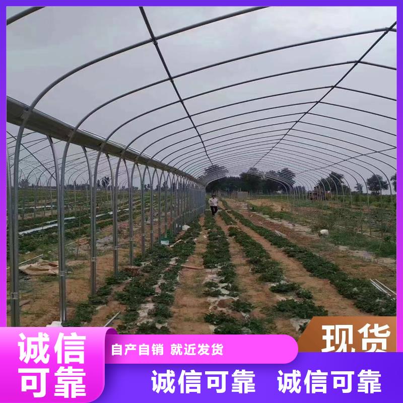 大棚卡槽铝合金的好还是镀锌的好质量优高品质现货销售