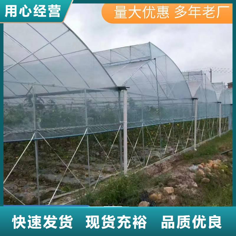 蔬菜大棚价格本地厂家多种规格库存充足