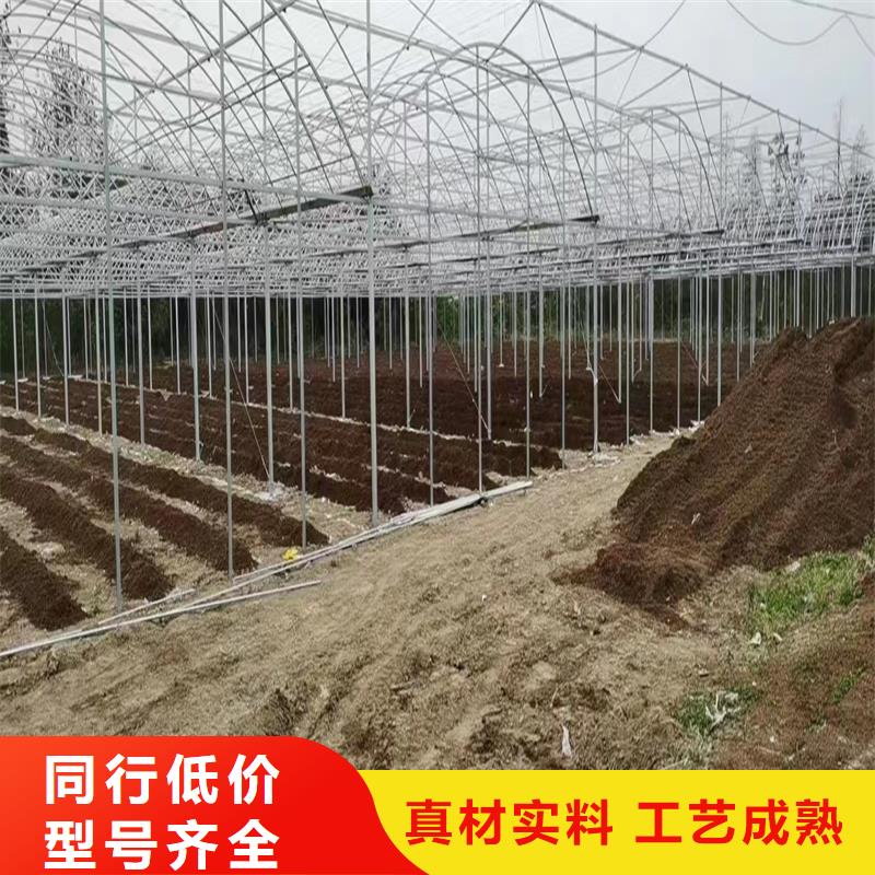 广东省深圳市桂园街道通风气楼设置售后无忧定金锁价