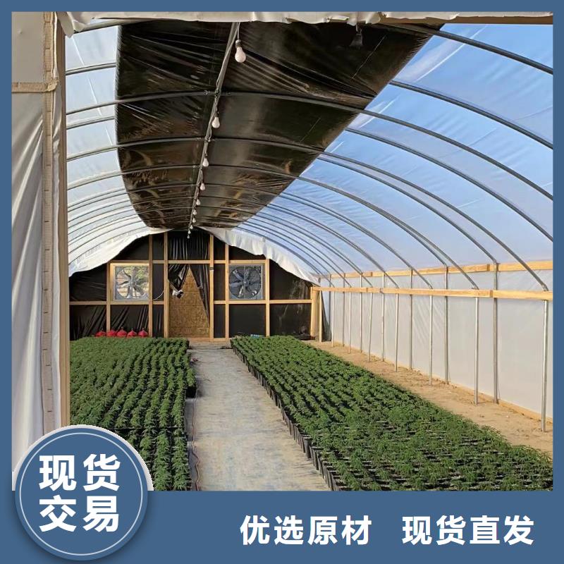 广东省深圳市南澳街道蔬菜大棚厂实力老厂本地制造商