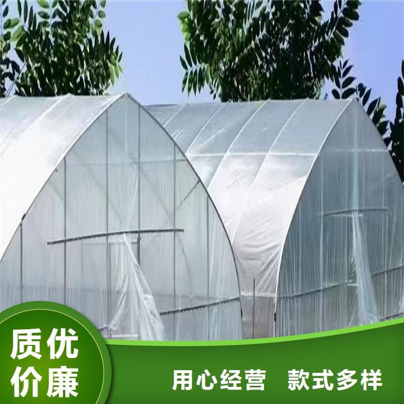 通风气楼型号全当地服务商