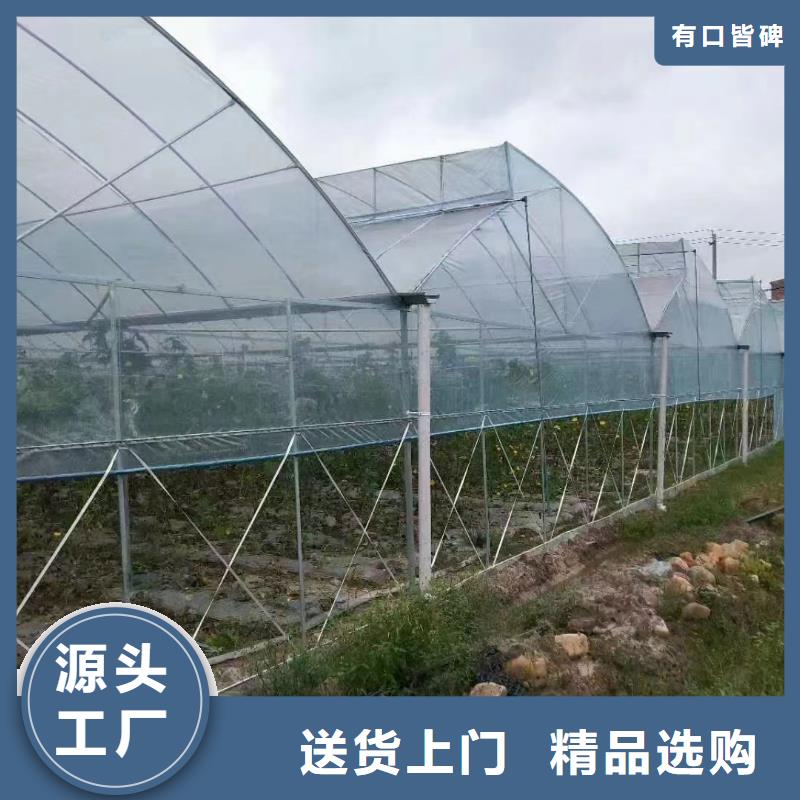 葡萄大棚钢管价格合理当地服务商