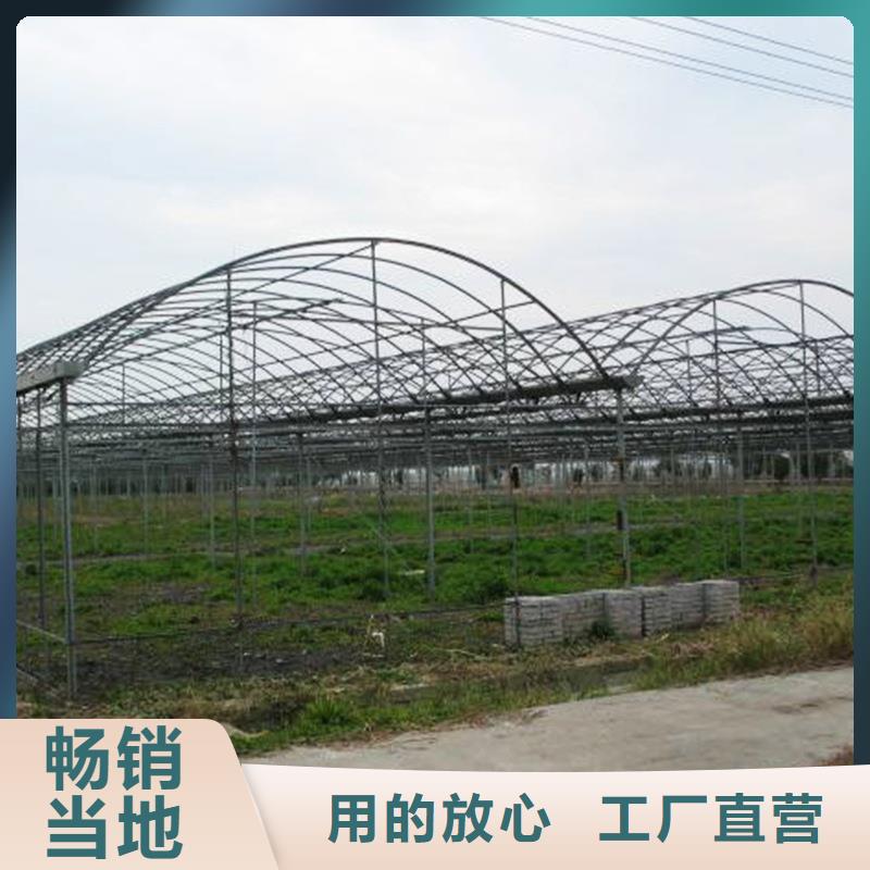 广东省中山市南朗镇大棚钢管厂家品质保证合作共赢