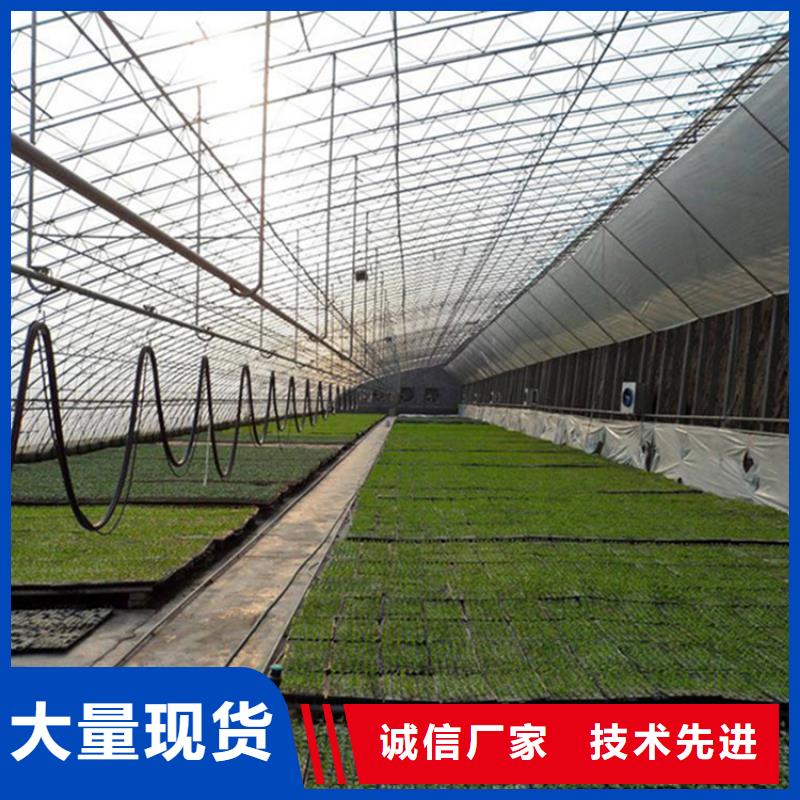 中山市沙溪镇蔬菜大棚价格在线报价标准工艺