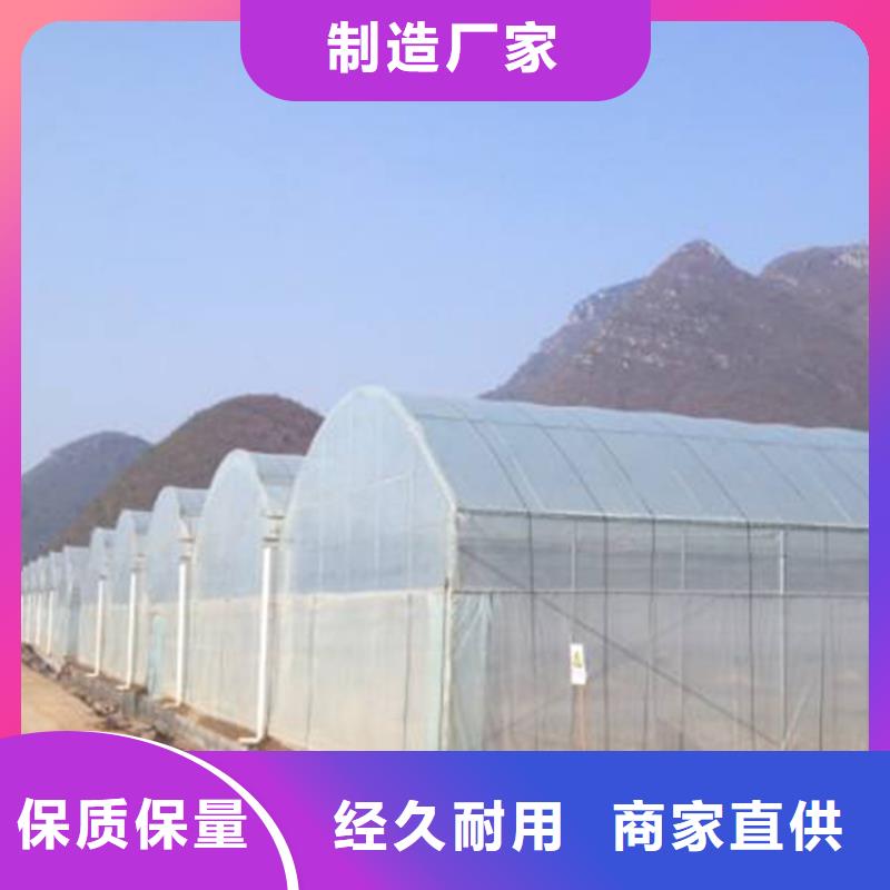 葡萄大棚钢管制造厂家同城品牌