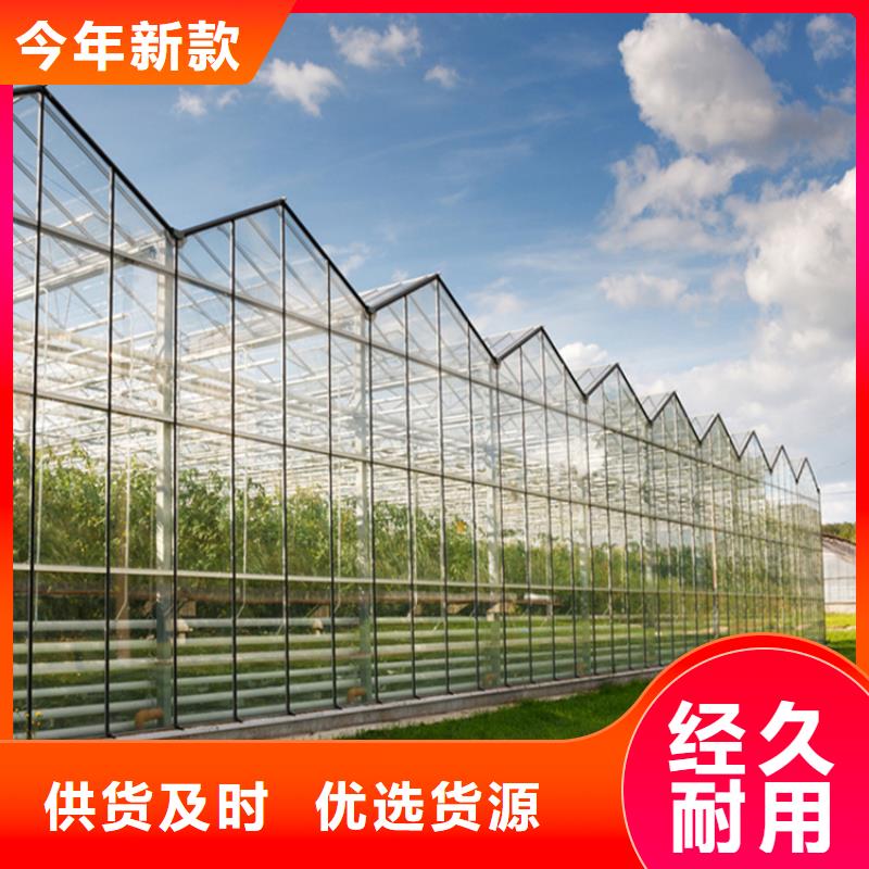 自治区蓝莓杨梅水果大棚发货快种类丰富