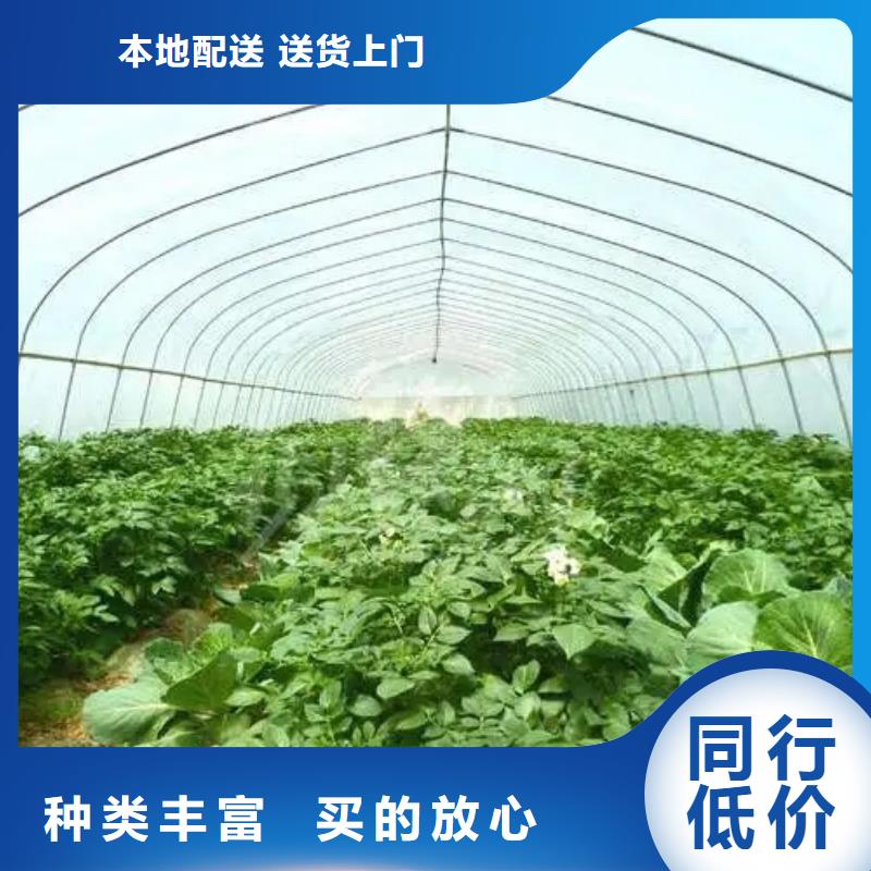 蓝莓杨梅水果大棚在线报价多年行业经验