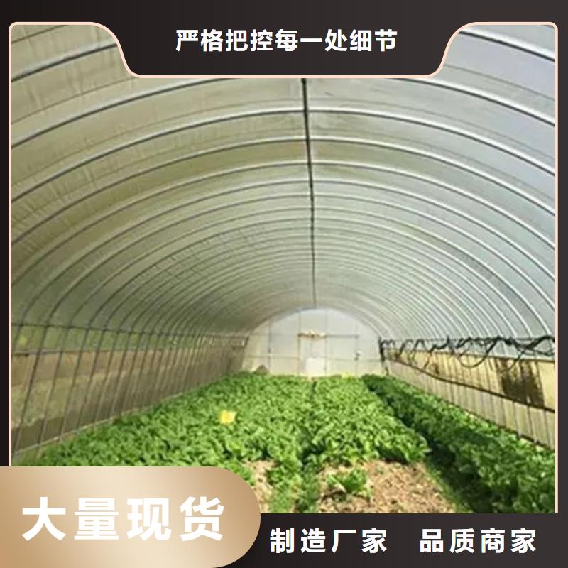 苗圃大棚管出厂价格本地公司