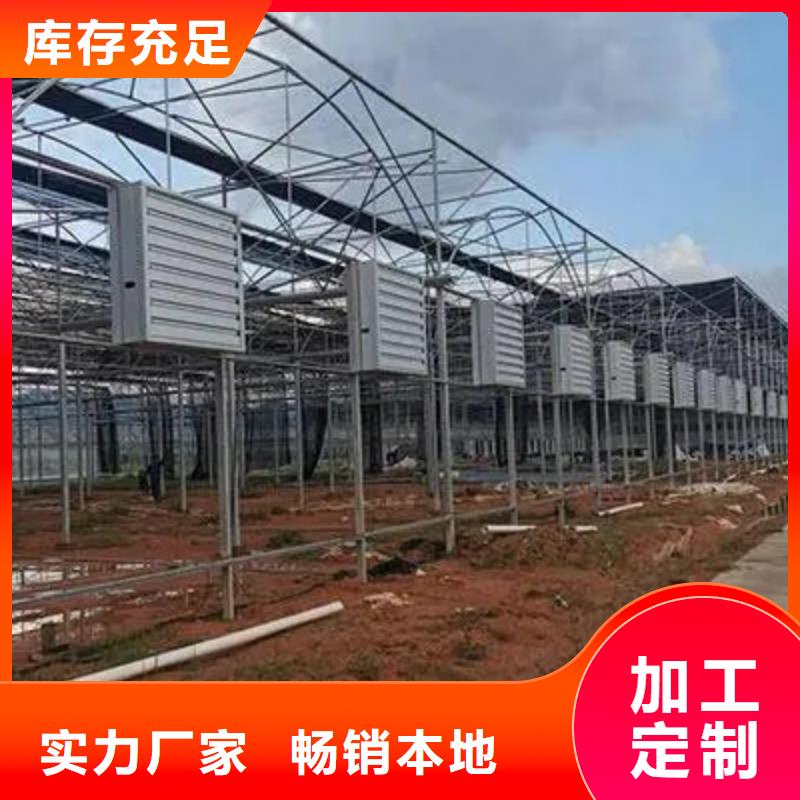 蔬菜大棚价格良心厂家老品牌厂家