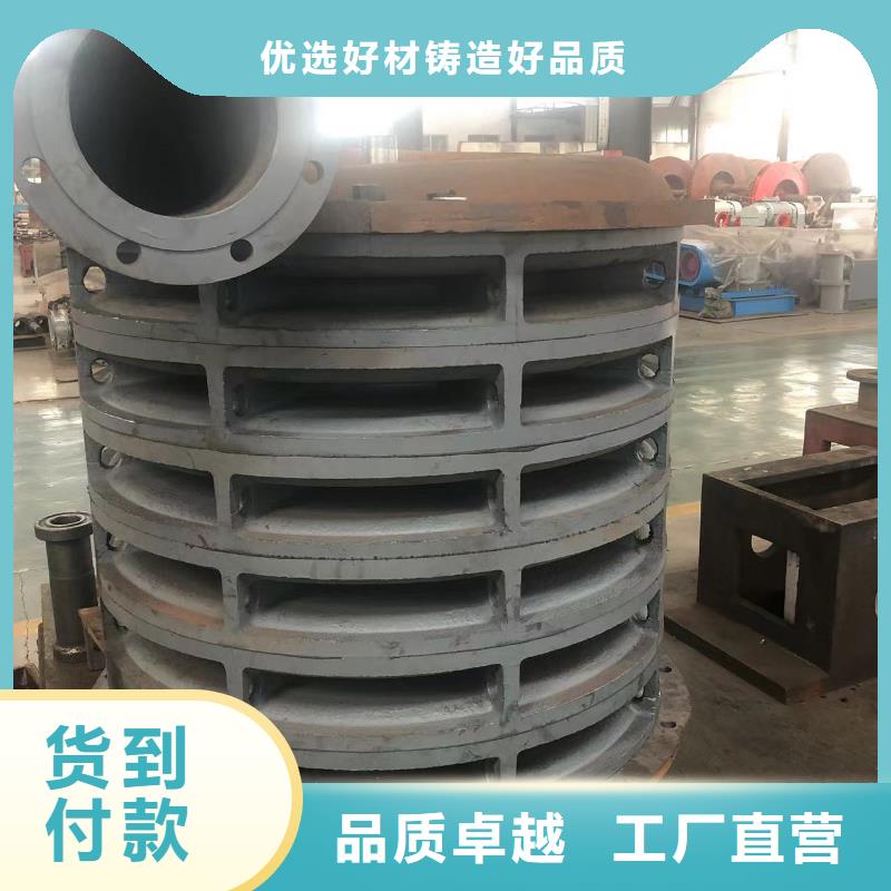 罗茨风机LFSR65复合肥专用尾气风机当地制造商
