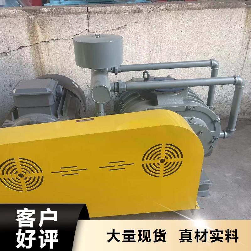 山东临风科技股份L系列罗茨风机LFSR300当地货源