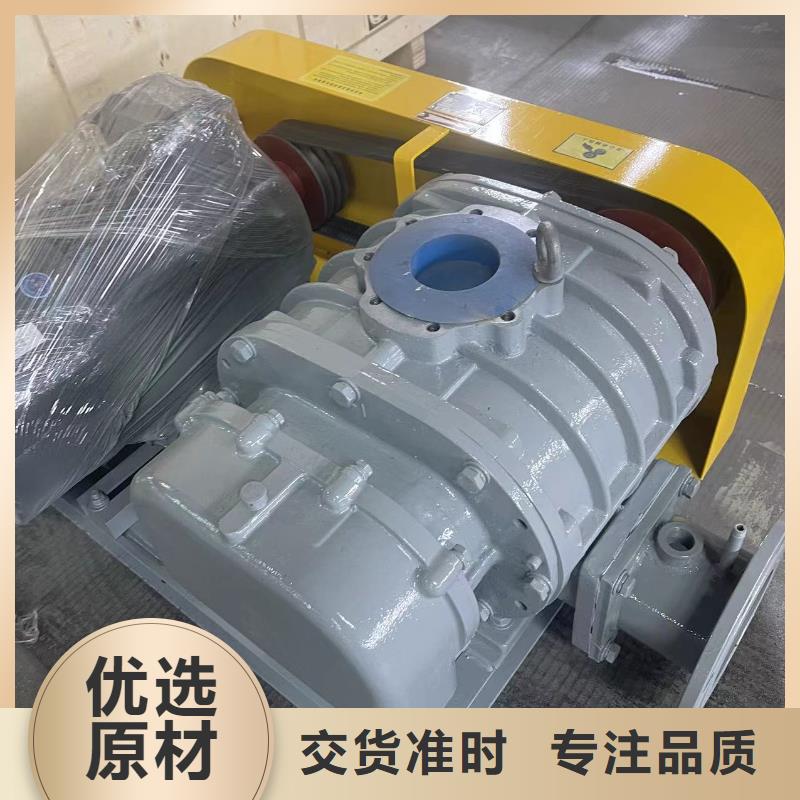 每日两叶罗茨风机LFSR80安装简单