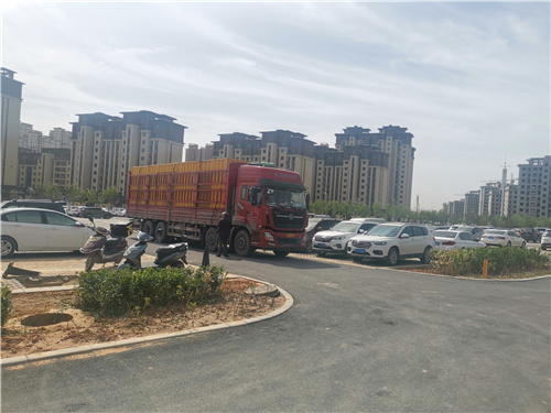 柴油发电机_550kw发电机租赁厂家价格地道本地制造商
