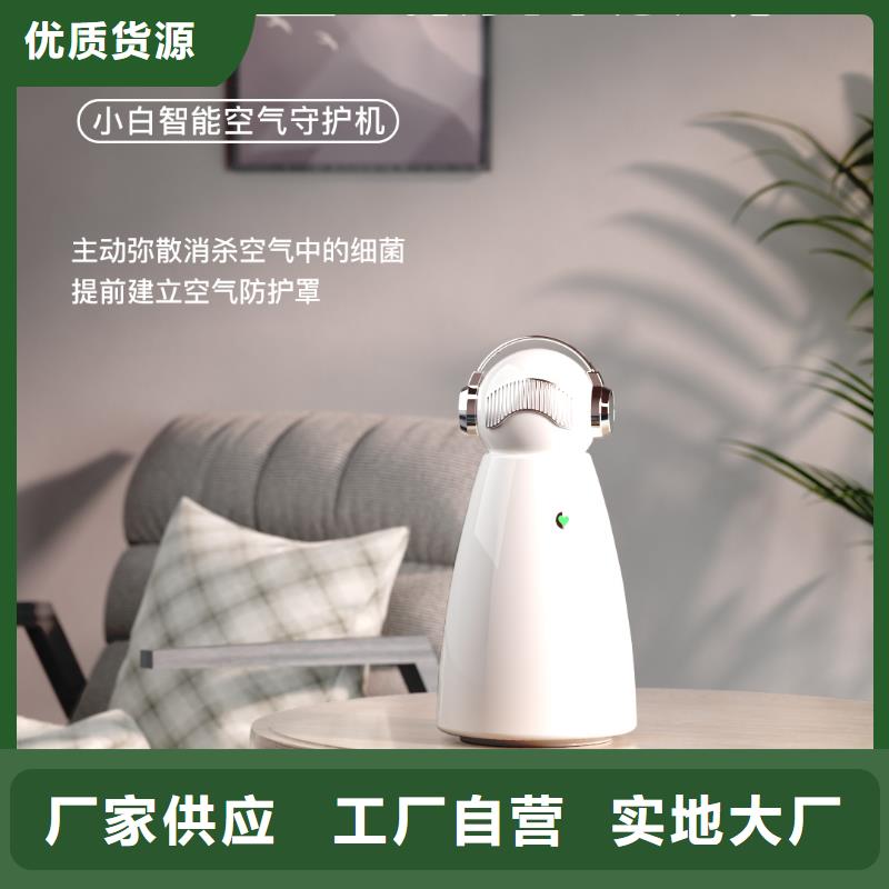 小白祛味王小白空气守护机器人厂家把实惠留给您质量可靠