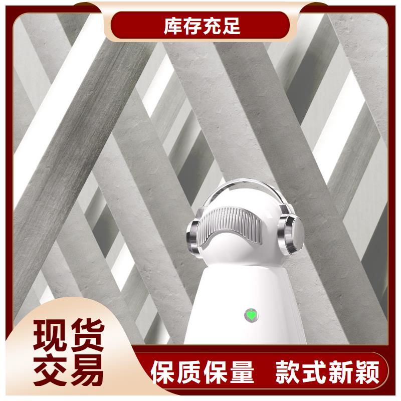【小白祛味王】小白祛味王热销厂家厂家新品诚信厂家