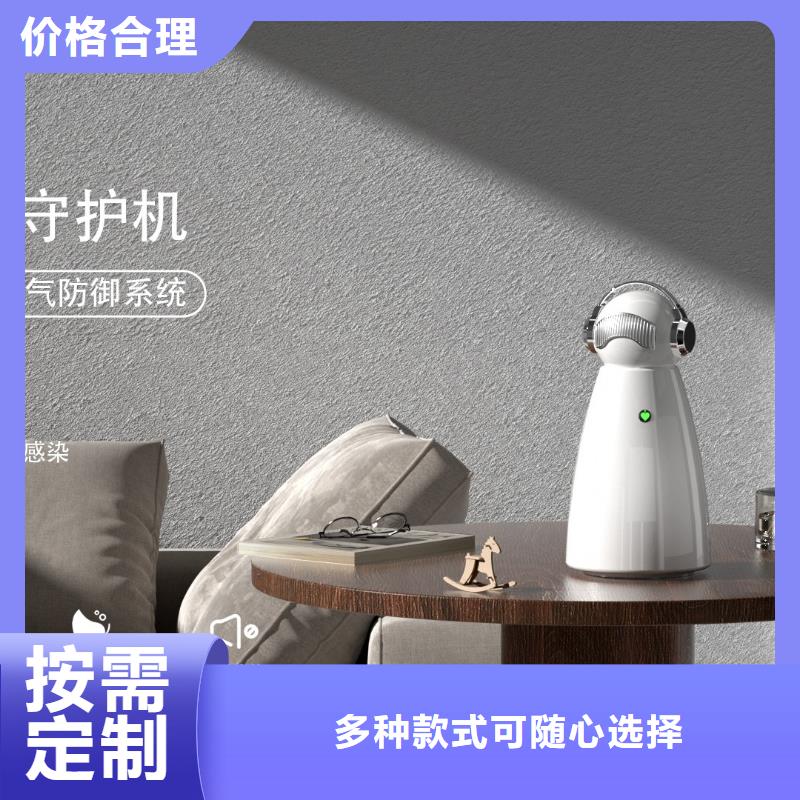 小白祛味王车载空气净化器厂多种工艺当地生产商