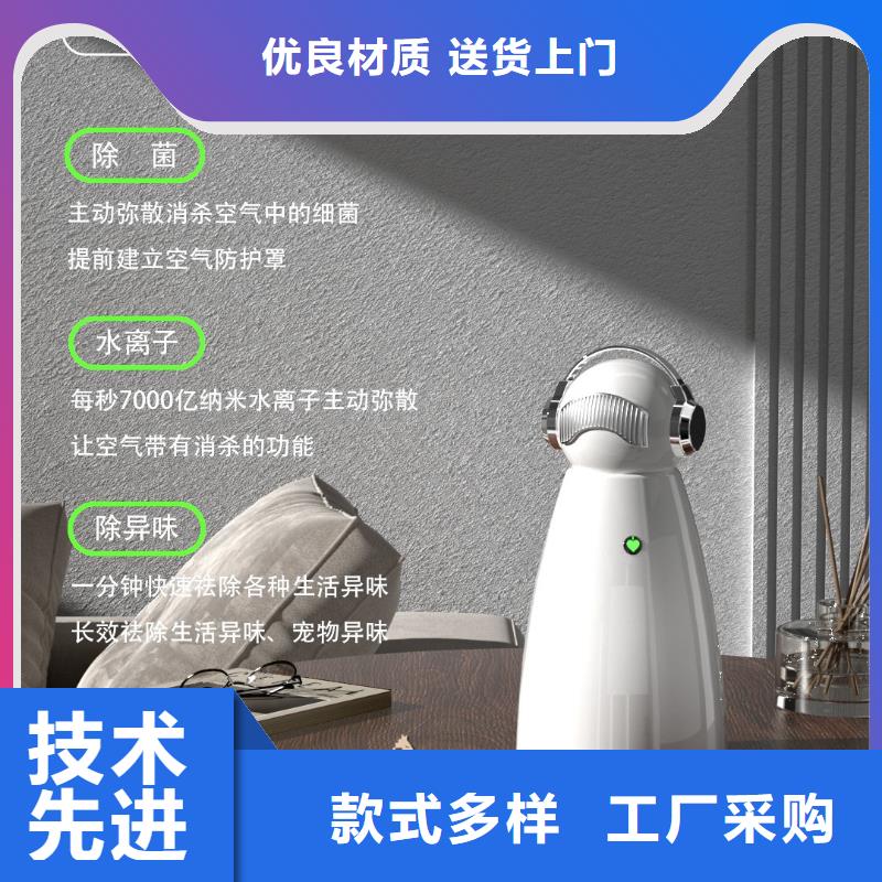 【小白祛味王】小白空气守护机器人真正的源头厂家当地品牌